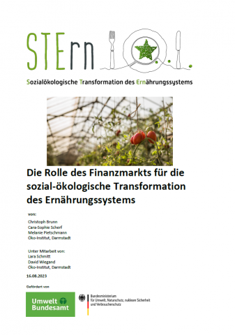 Cover des STRern-Arbeitpapiers "Die Rolle des Finanzmarkts für die sozial-ökologische Transformation des Ernährungssystems"
